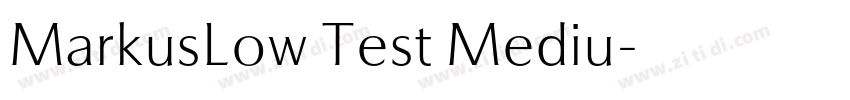 MarkusLow Test Mediu字体转换